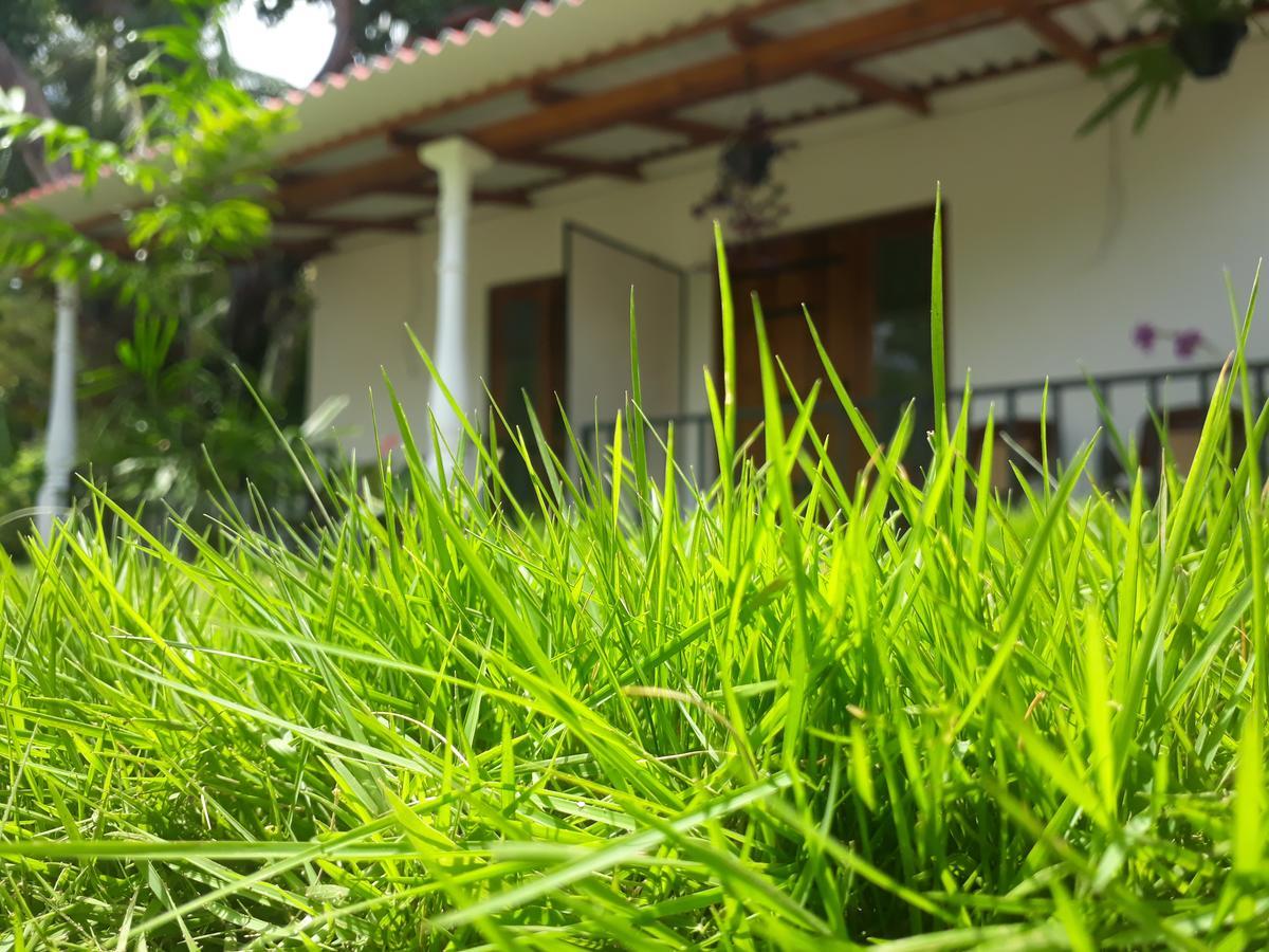 Akila Holiday Resort Habarana Exterior foto